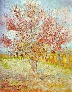 Vincent Van Gogh Peach Tree in Bloom USA oil painting artist